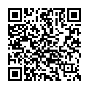 那么它们当然很乐意跟这个人类建立良好的关系二维码生成