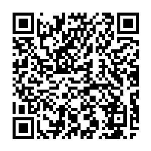 那么就会再次刷新出一个新的没有灵魂的身体来……不过她都是再也回不来了二维码生成