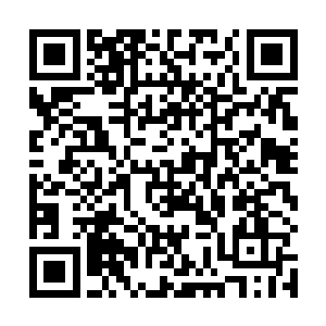 那么就只能依靠南边的禁军和韩世忠手上那一点东南军二维码生成