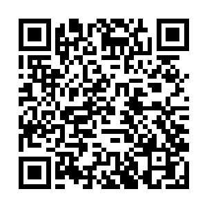 那么就只能够在这个角落里呆着直到消失在这个世界二维码生成