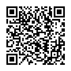 那么就算是掌控了大道法则的顶级强者也未必是它的对手二维码生成