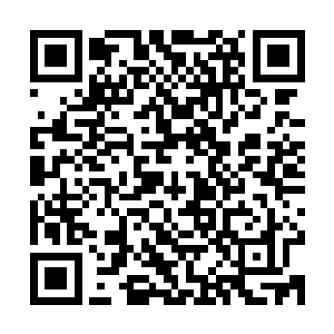那么就让世人以为是红角族派人来刺杀和抓走了我们的苏门大巫二维码生成