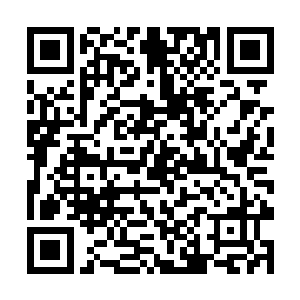 那么当一个知识分子的必要条件就是有超强的记忆力二维码生成