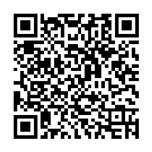 那么很有可能控制这根基之身的位置就在心脏之处二维码生成