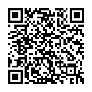 那么我也要好好地规划一下封天城的发展目标了二维码生成