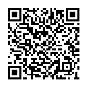 那么我马如龙倒也不会不知廉耻地继续逗留在这二维码生成