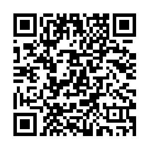 那么整个南海魔域再也没有任何存在能与林铭抗衡了二维码生成