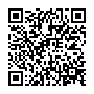 那么毫无疑问陆为民就是最有可能接任市委书记的人选二维码生成