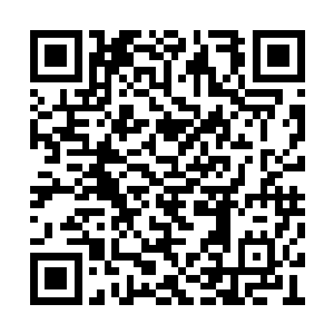 那么火天尊的火鸦就只有火天尊万分之一的实力二维码生成