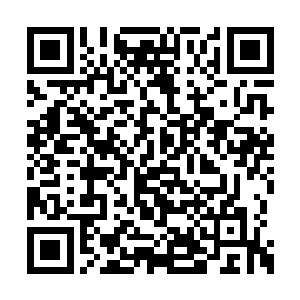 那么神秘人的半僵之体就会显露出更大的破绽了二维码生成