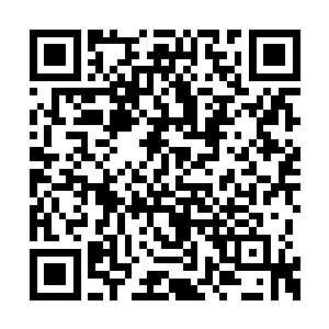 那么袁医生也就不会选在上午的时间进行检查了二维码生成
