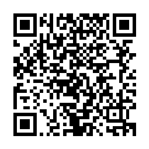 那么裂风狼王就直接是以最为强势的手段击杀了神殿执事了……二维码生成