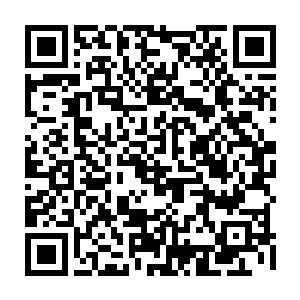 那么要进价到后期跳尸只怕是要等到猴年马月之外了……不过凭感觉的话二维码生成