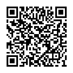 那么证明的确有大批的魔鬼在千叶之森附近活动二维码生成