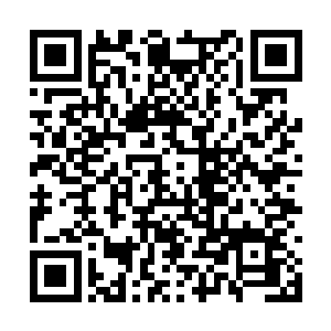那么超体文明应该会想方设法杜绝所有个体的痛苦二维码生成