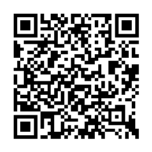 那么这个爆料出来就是让特蕾西遭受巨大打击的二维码生成