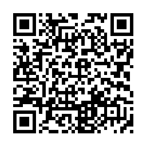 那么这些实力骤增过的妖兵级妖兽就会元气大伤二维码生成