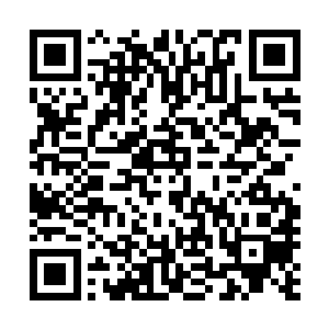 那么这位秦先生必然就不会是某些大家族的子弟那么的简单二维码生成