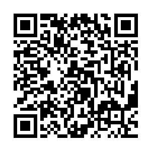 那么这南部一线基本都不太可能有稳定的营地和据点二维码生成