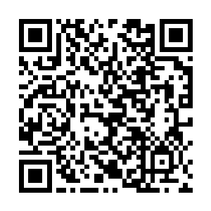 那么这家伙必定会在庇护所世界里面掀起一阵腥风血雨二维码生成