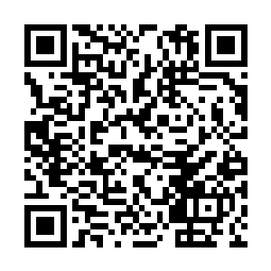 那么这老鼠就算不被瞬间秒掉也绝对撑不过几秒钟二维码生成