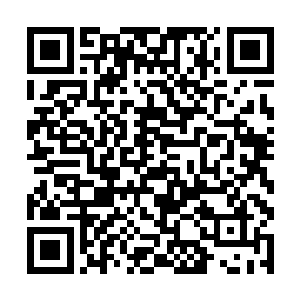 那么龙傲天刚才可是说过的坚持三十秒有特殊的奖励二维码生成