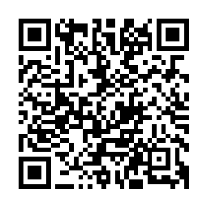 那也不能让那么多钱买来的设备和花高价的这批技术人员闲着二维码生成