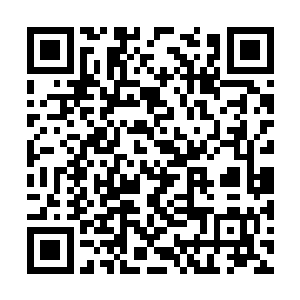 那也得出动普通的门下弟子或者是更低的外门弟子二维码生成