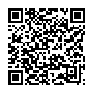那也要督请公安机关尽快介入追捕这些犯罪嫌疑人二维码生成
