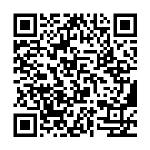那也要竭尽全力地阻止天外天中的土著来到这个世界二维码生成