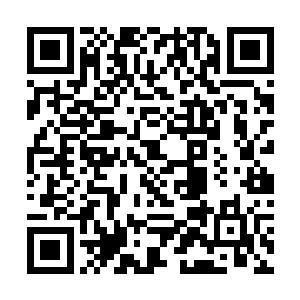 那也远不是以前卫海川主政时的温桥府大军能相比的二维码生成