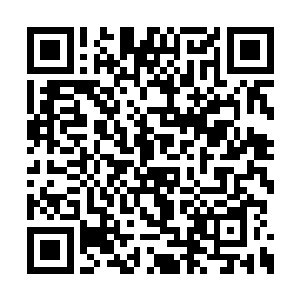 那乾坤圈和红缨枪也同此轰击在了夸父的拳头上二维码生成