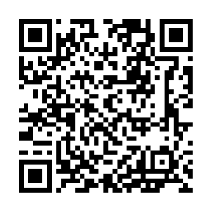 那二十几个和许紫烟在小世界认识的修士再也忍不住二维码生成