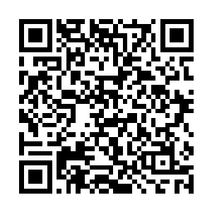 那二十多名金甲神将的身体也再次出现在了他的眼中二维码生成