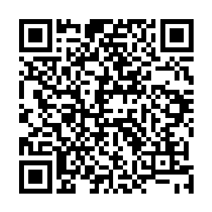 那二女迅速冲到了穆红英的面前协助抱住了穆红英的身子二维码生成