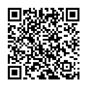 那云中之龙被一只身高千米的巨猿跳过来一把抓住二维码生成