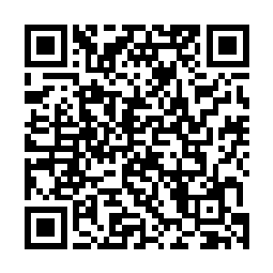 那些一开始很不看好叶星的武者才真正的对叶星重视起来二维码生成