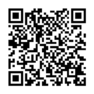 那些一无所有的小鬼才会做出这种无所顾忌的事情二维码生成