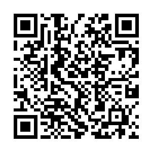 那些不朽强者的神国子民和神国战士便已经死伤惨重了二维码生成