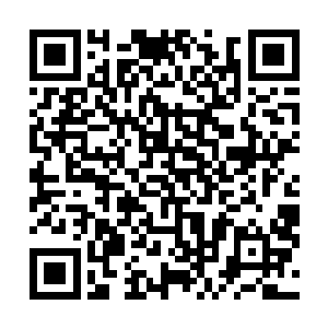 那些与他们交好的别门弟子见到他们后连眼神都是怪异的二维码生成