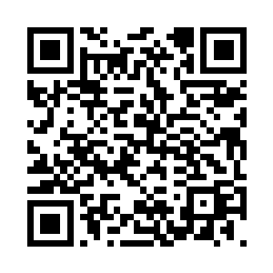 那些东西不是当着二姐的面给毁了吗二维码生成