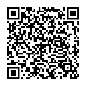那些个仅存的武林门派高手们早已经看过了君临天那非同凡人的力量二维码生成