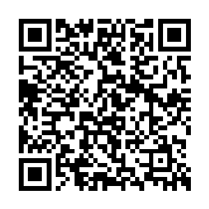 那些个有邀请函的仙家一个个当即放下手头的活二维码生成