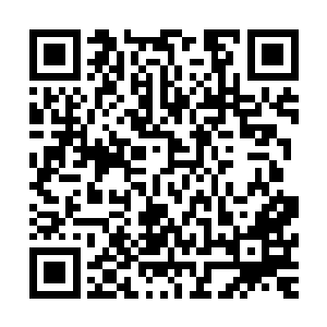 那些个黑盾胡蜂开始有条不紊的朝着那小瓶子用毒针喷射毒液二维码生成