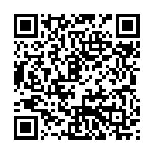 那些之前因为奂冥撒的那些粉末而陷入沉睡的虫子二维码生成