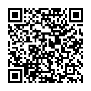 那些五品以上的炼丹师急忙将目光扫向了那七种草药二维码生成