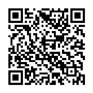 那些人便将那些人点了点头便将从车上下来的人放了进去二维码生成