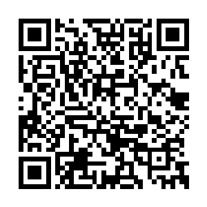 那些人果然破解开了药园废墟中那个石屋的禁制二维码生成