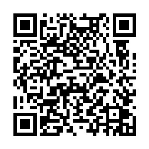 那些人精一样的家伙们立马嗅到一些不一样的味道二维码生成