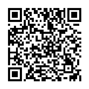 那些仿照各类飞翔猛禽的魔化植物外壳也并罕见二维码生成